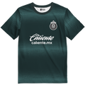 Playera Chivas Alternativa 24