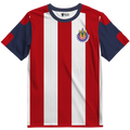 Playera Chivas Local 17