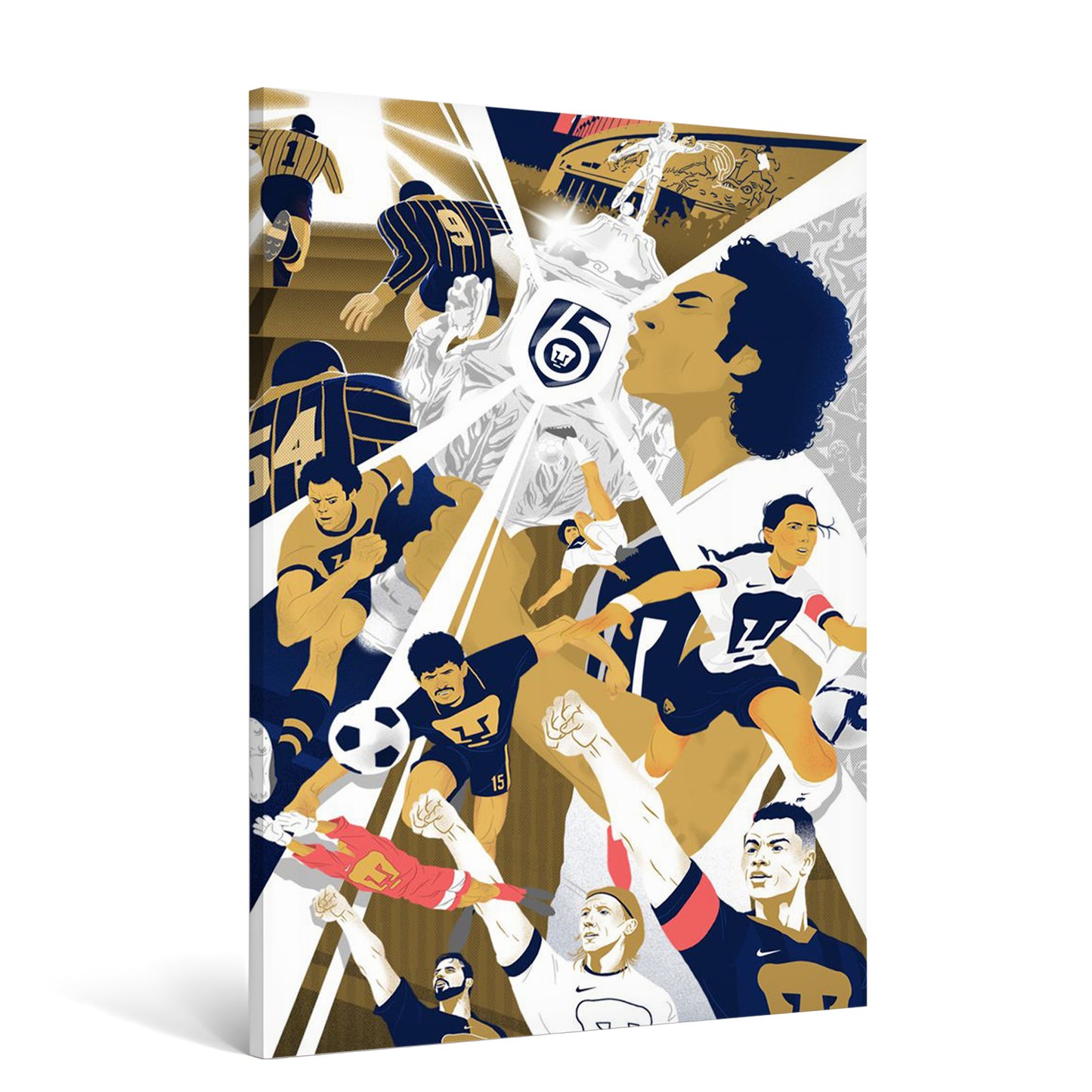 Cuadro Pumas 1