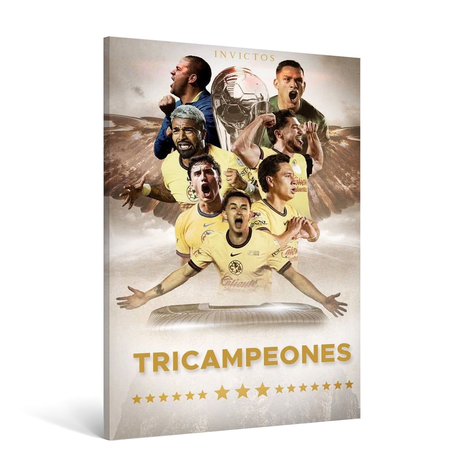 Cuadro America 5