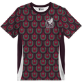 Playera Mexico Local 24