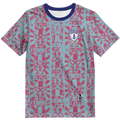 Playera Pachuca Luchas